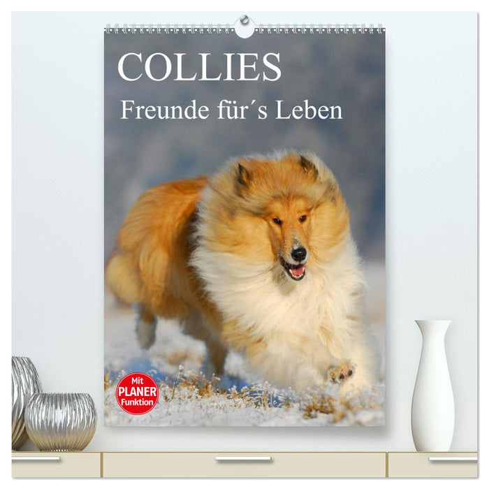 Collies - Freunde für´s Leben (CALVENDO Premium Wandkalender 2024)