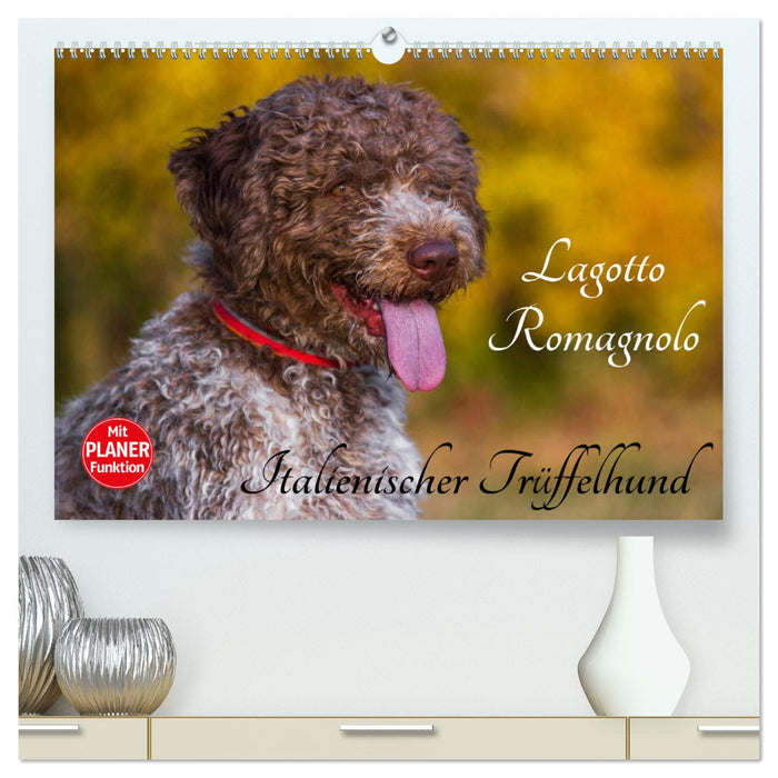 Lagotto Romagnolo – Chien truffier italien (Calvendo Premium Calendrier mural 2024) 