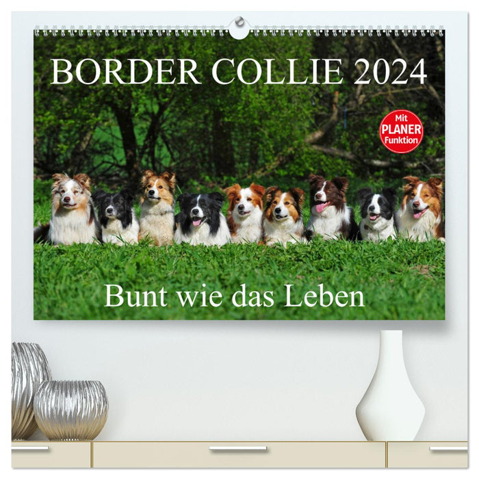 Border Collie 2024 (Calvendo Premium Calendrier mural 2024) 