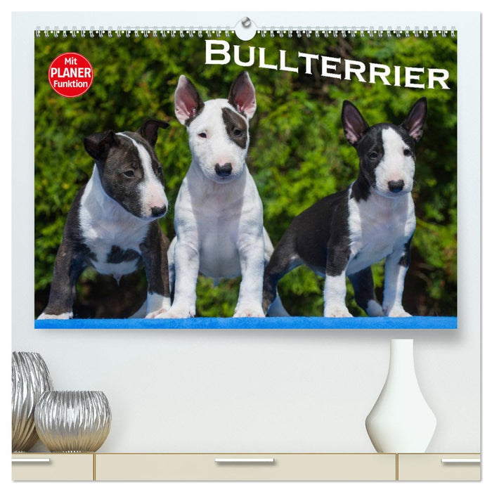 Bullterrier (CALVENDO Premium Wandkalender 2024)