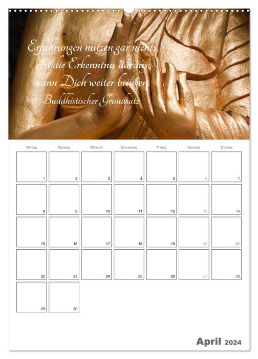 Harmonie und Freude Buddhistische Weisheiten 2024 (CALVENDO Premium Wandkalender 2024)