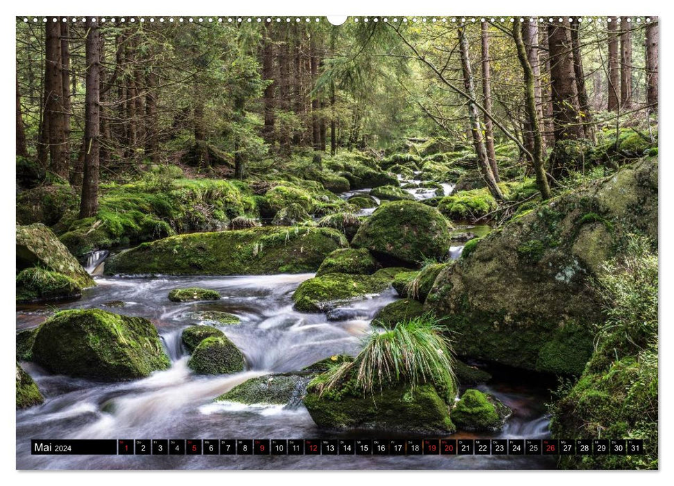 Der Harz einfach magisch (CALVENDO Wandkalender 2024)