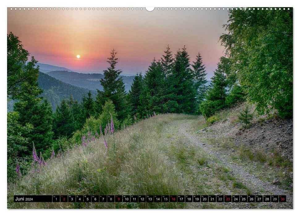 Der Harz einfach magisch (CALVENDO Wandkalender 2024)