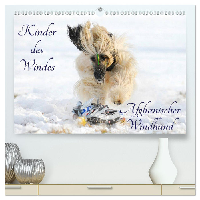 Kinder des Windes - Afghanischer Windhund (CALVENDO Premium Wandkalender 2024)