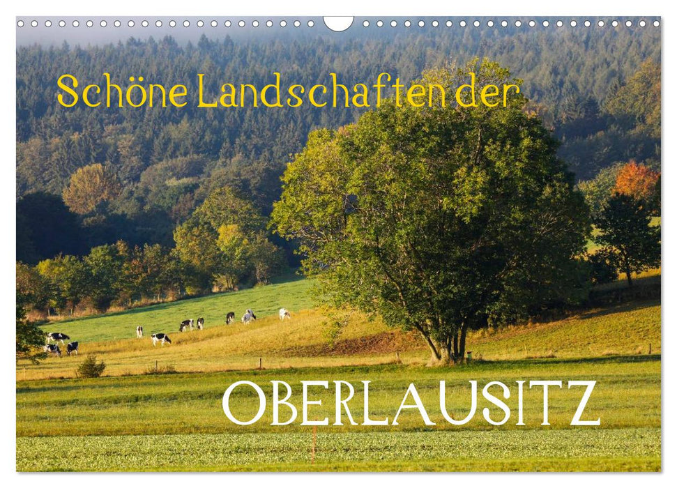 Schöne Landschaften der Oberlausitz (CALVENDO Wandkalender 2024)