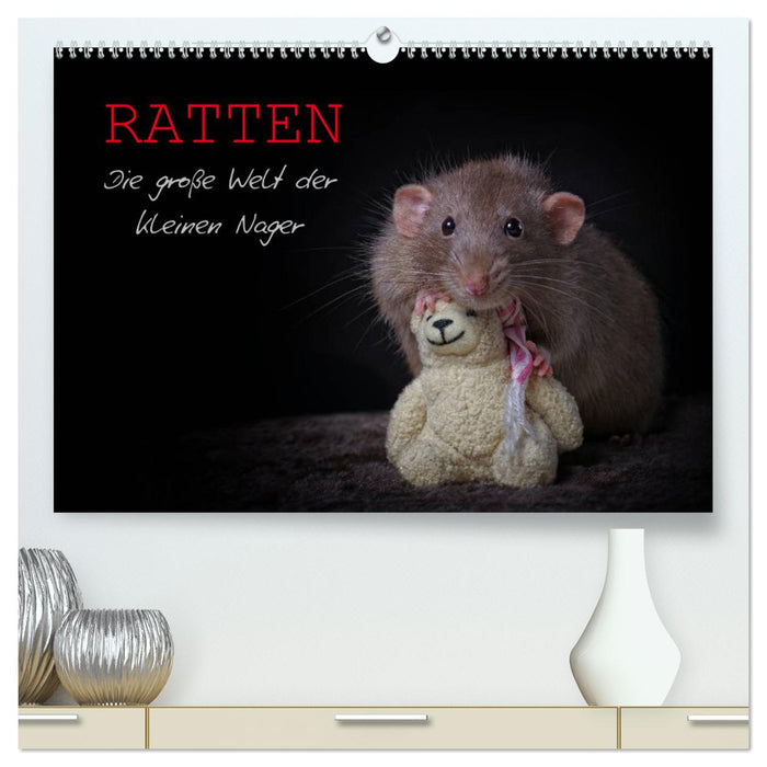 Rats. The big world of little rodents (CALVENDO Premium Wall Calendar 2024) 