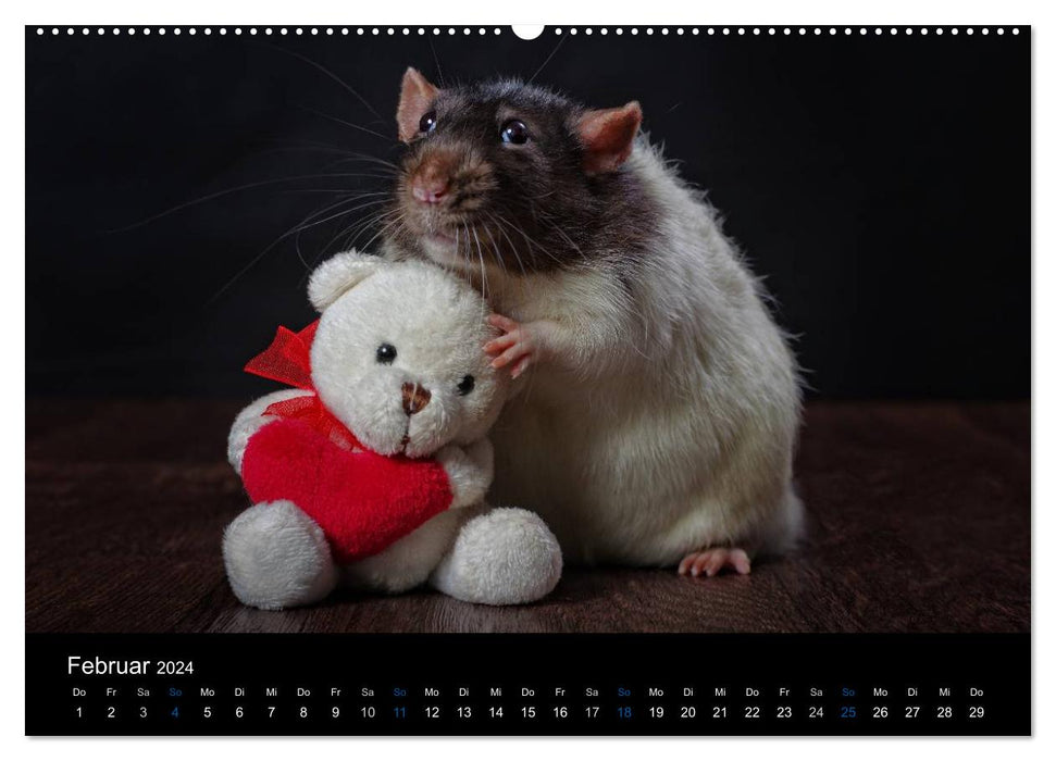Rats. The big world of little rodents (CALVENDO Premium Wall Calendar 2024) 