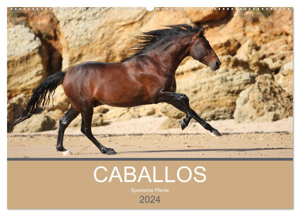 Caballos Spanische Pferde 2024 (CALVENDO Wandkalender 2024)