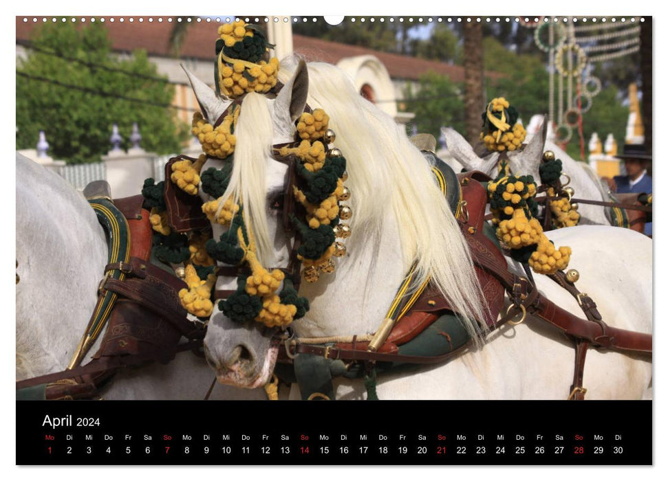 Caballos Spanische Pferde 2024 (CALVENDO Wandkalender 2024)