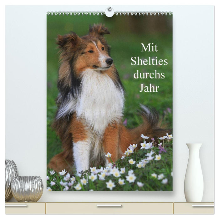 With Shelties throughout the year (CALVENDO Premium Wall Calendar 2024) 