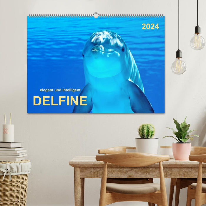 Dolphins - elegant and intelligent (CALVENDO wall calendar 2024) 