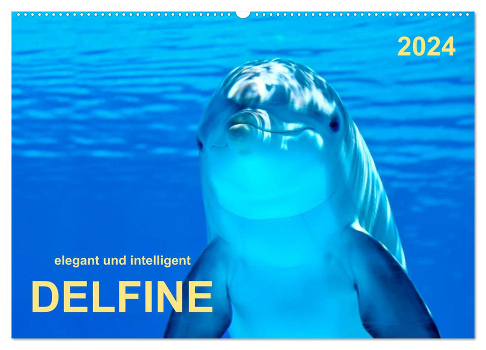 Delfine - elegant und intelligent (CALVENDO Wandkalender 2024)