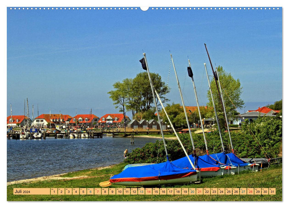 Impressions of the Baltic Sea resort of Rerik (CALVENDO Premium Wall Calendar 2024) 