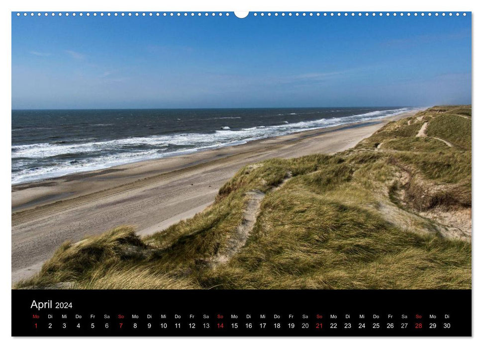 Denmark - Surroundings of Hvide Sande (CALVENDO Premium Wall Calendar 2024) 