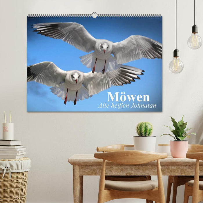 Seagulls. Everyone is called Johnatan (CALVENDO wall calendar 2024) 