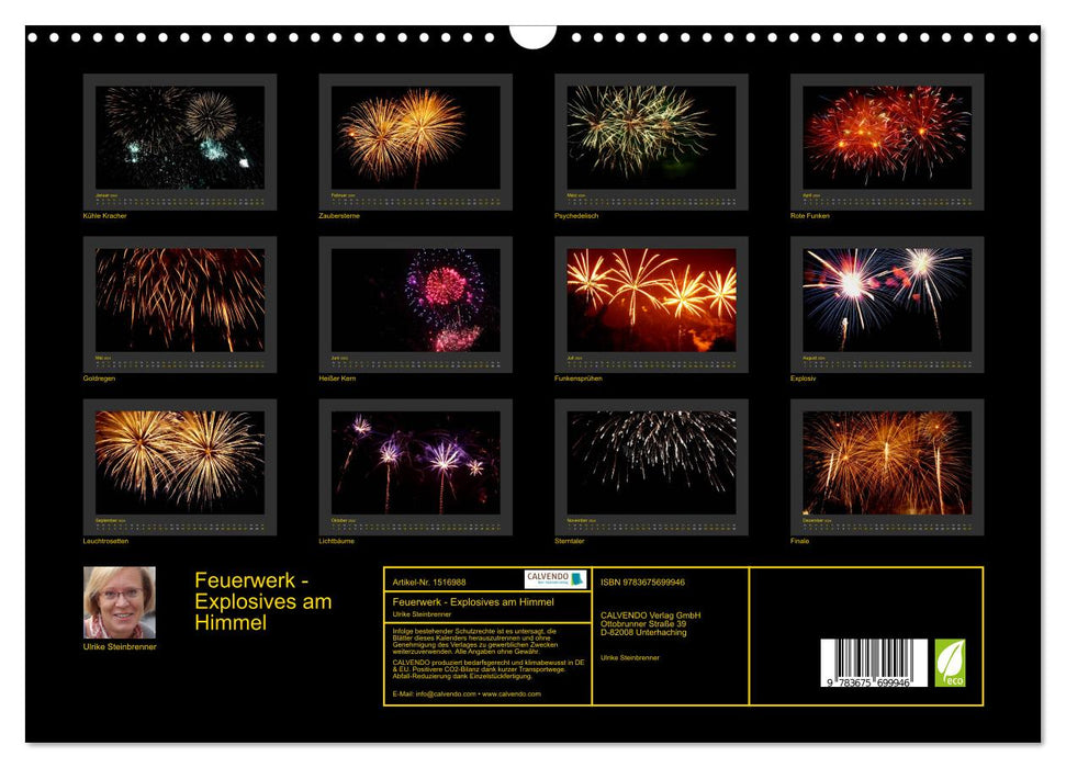 Fireworks - Explosives in the sky (CALVENDO wall calendar 2024) 