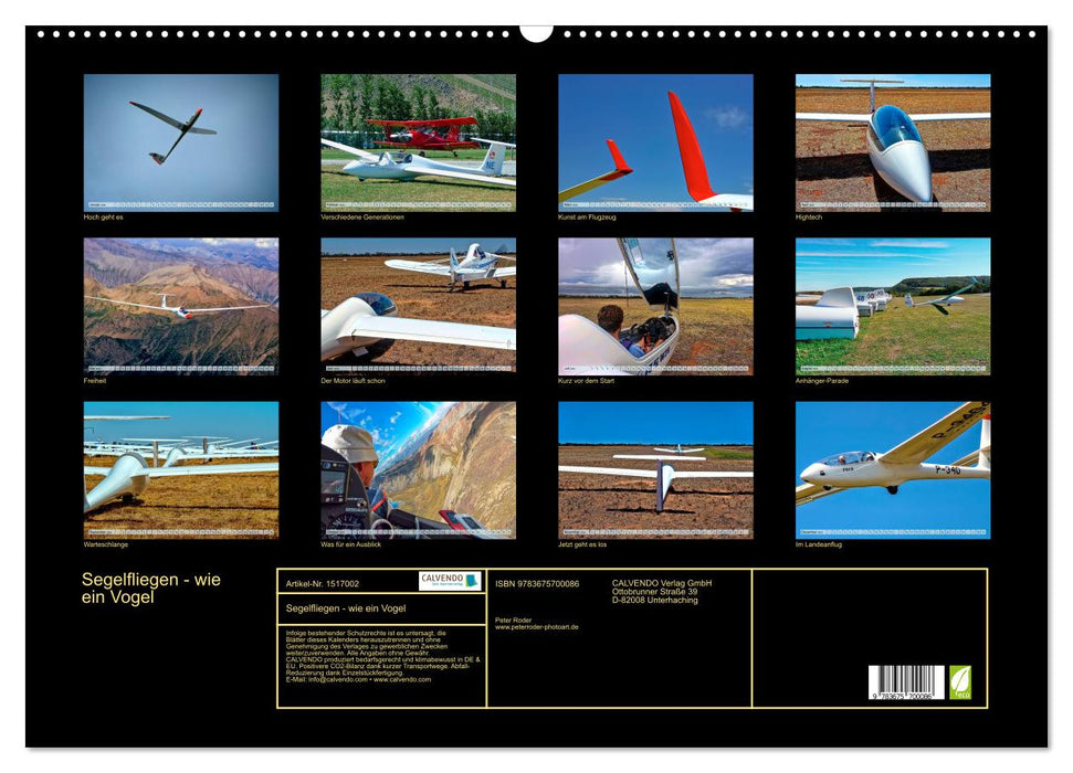 Gliding - like a bird (CALVENDO wall calendar 2024) 