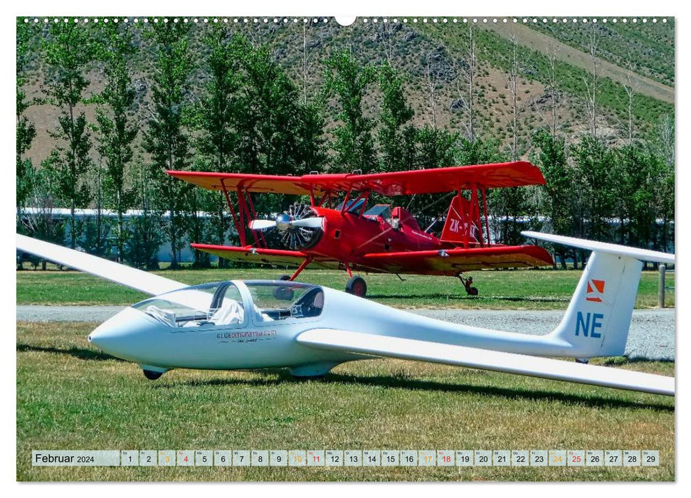 Planer - comme un oiseau (Calendrier mural CALVENDO 2024) 