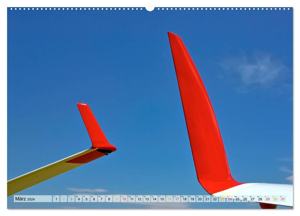 Gliding - like a bird (CALVENDO wall calendar 2024) 