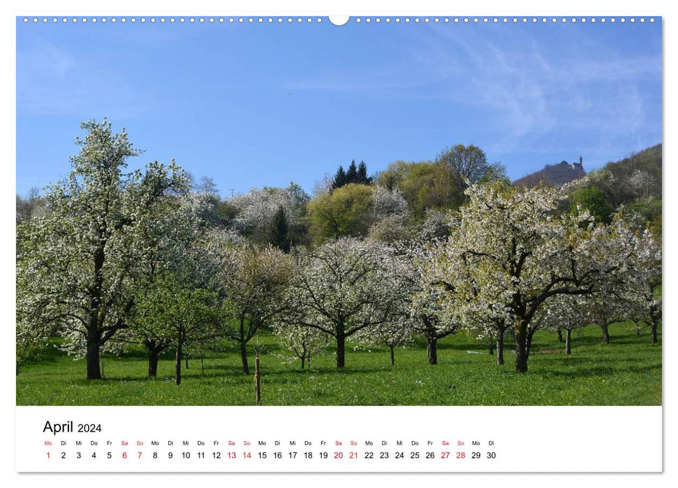 Magical Swabian Alb (CALVENDO wall calendar 2024) 