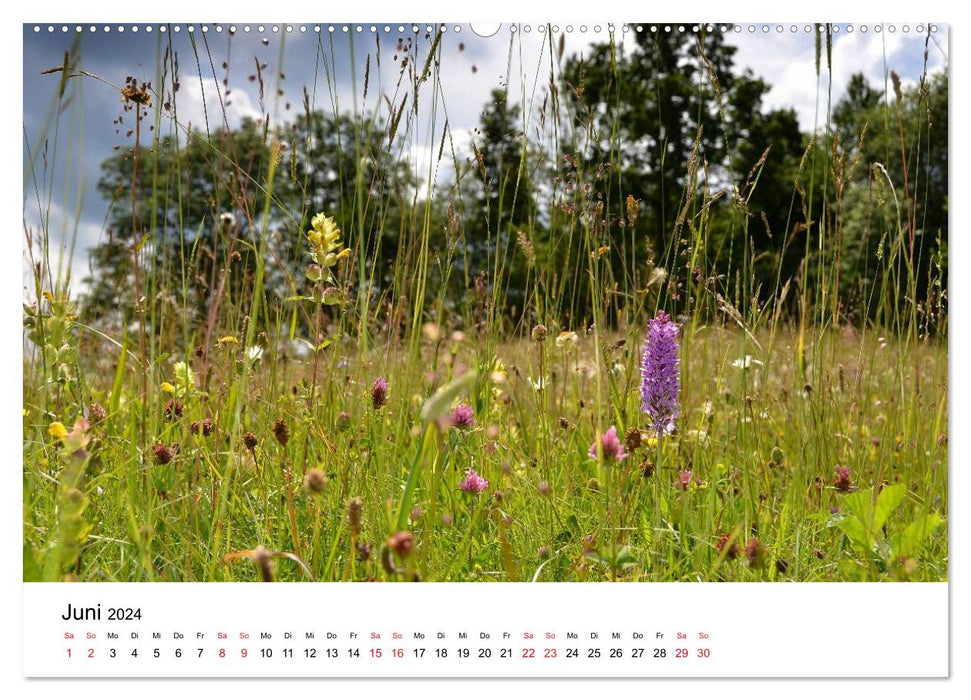 Magical Swabian Alb (CALVENDO wall calendar 2024) 