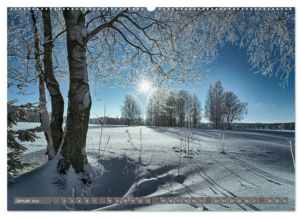 Vogtland - Impressions (Calendrier mural CALVENDO 2024) 