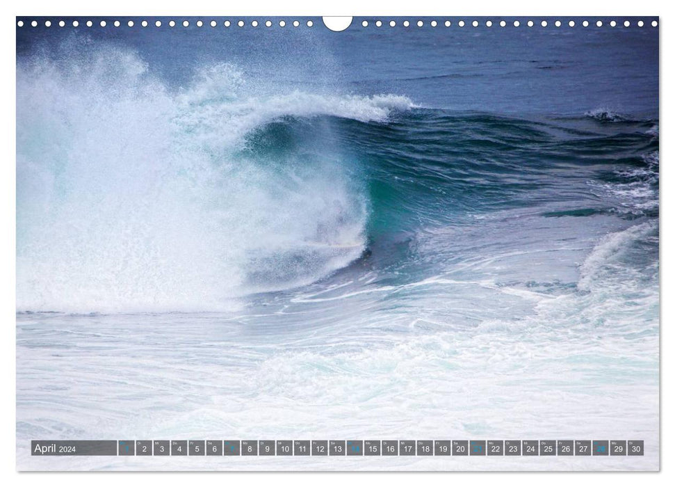 Faszination Surfen (CALVENDO Wandkalender 2024)