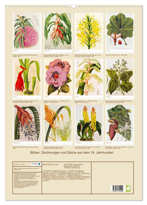 Fleurs : dessins et gravures du XIXe siècle (Calendrier mural CALVENDO 2024) 