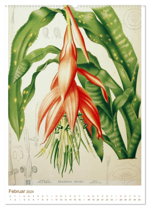 Blüten: Zeichnungen und Stiche aus dem 19. Jahrhundert (CALVENDO Wandkalender 2024)