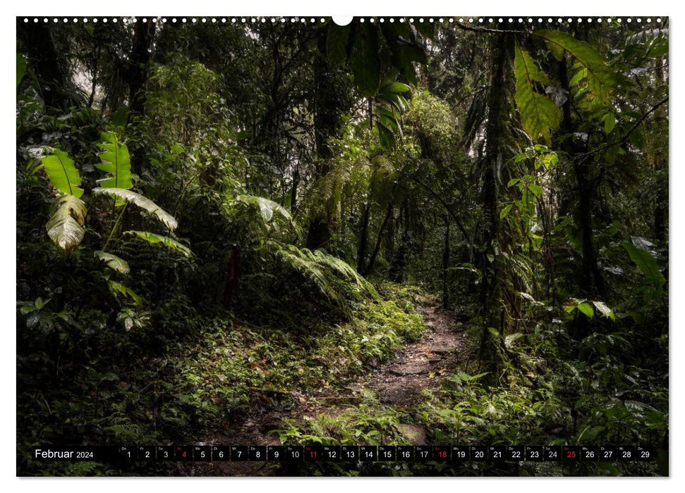 COSTA RICA Couleurs et Lumière (Calendrier mural CALVENDO 2024) 