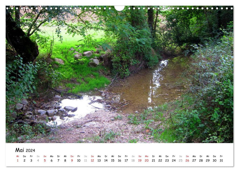 Franziskusweg - Camino di Assisi (CALVENDO Wandkalender 2024)