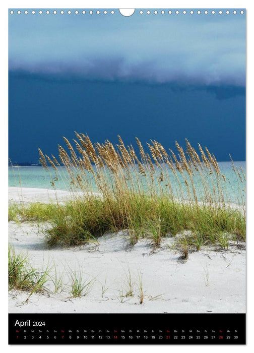 Florida Keys und Miami (CALVENDO Wandkalender 2024)