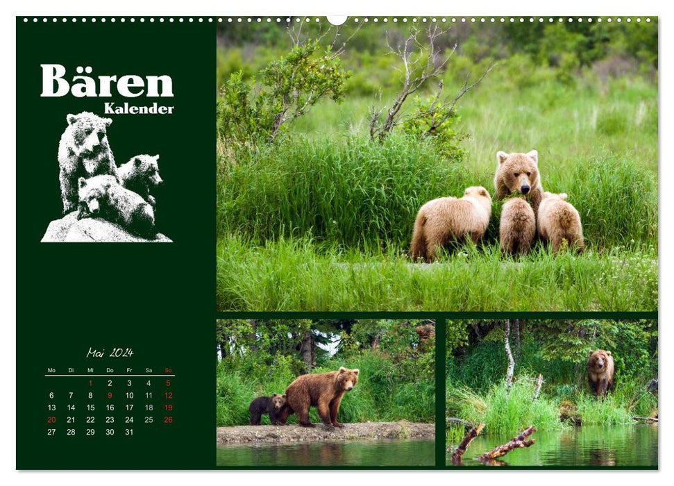 Bärenkalender (CALVENDO Premium Wandkalender 2024)