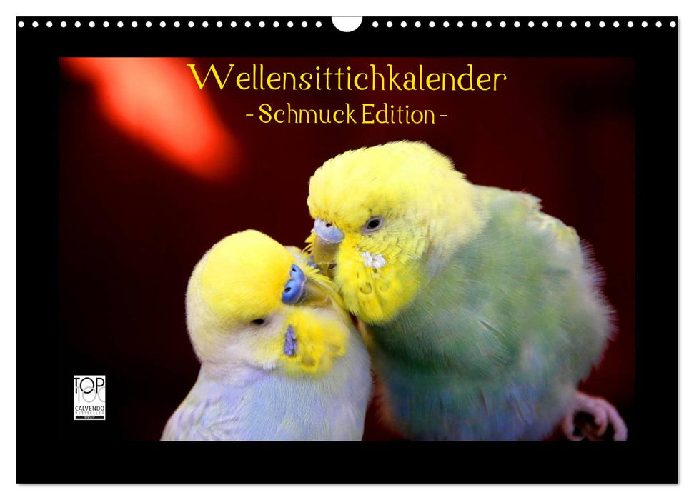 Wellensittichkalender - Schmuck Edition (CALVENDO Wandkalender 2024)