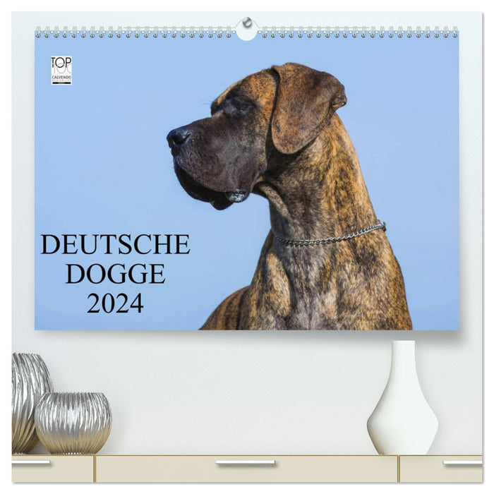 Deutsche Dogge 2024 (CALVENDO Premium Wandkalender 2024)