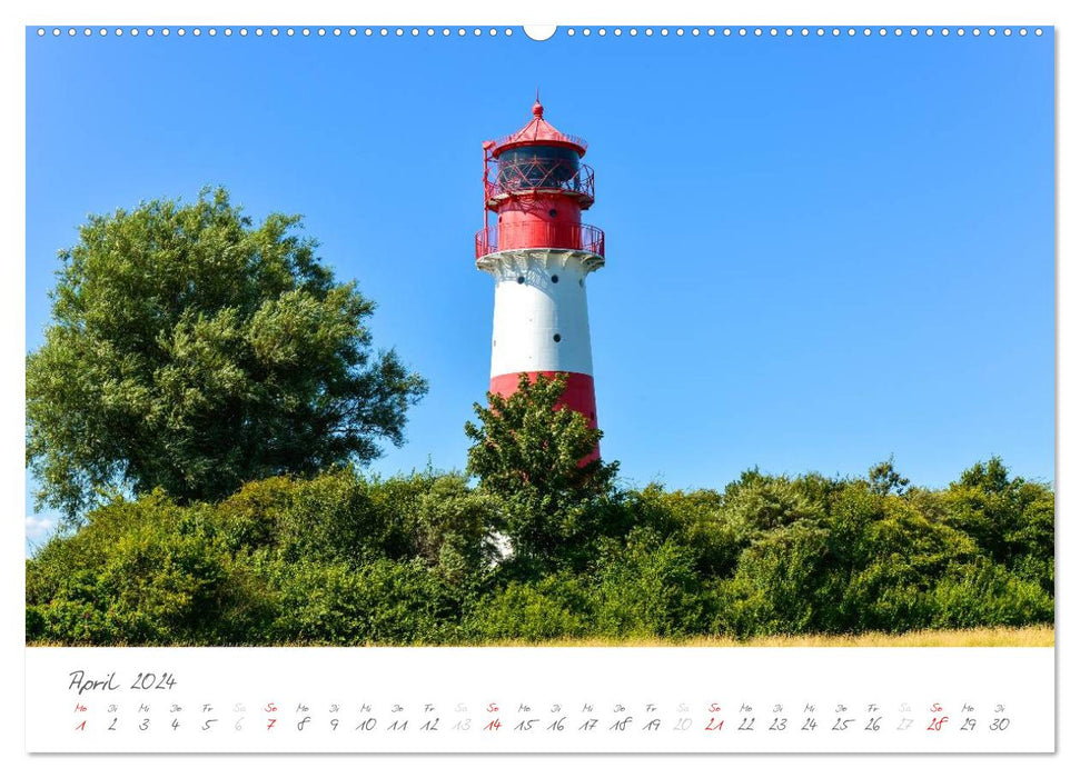 "Landarzt" - Plätze an Schlei und Ostsee (CALVENDO Premium Wandkalender 2024)