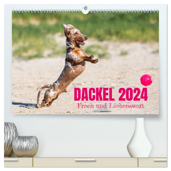 DACKEL 2024 Frech und Liebenwert (CALVENDO Premium Wandkalender 2024)