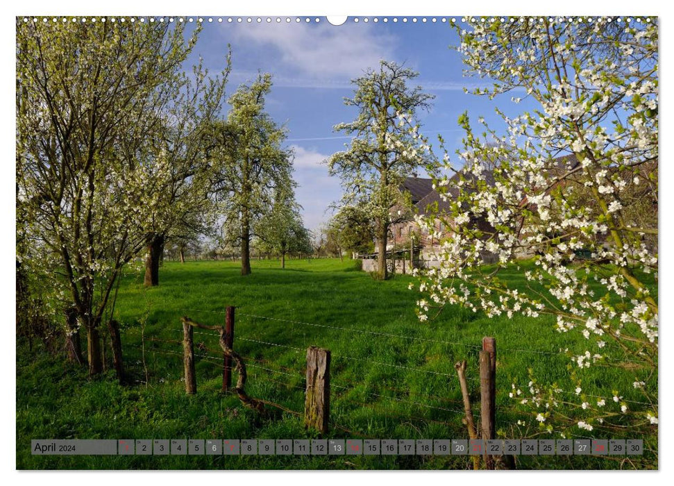 Der Niederrhein im Wandel der Jahreszeiten (CALVENDO Wandkalender 2024)