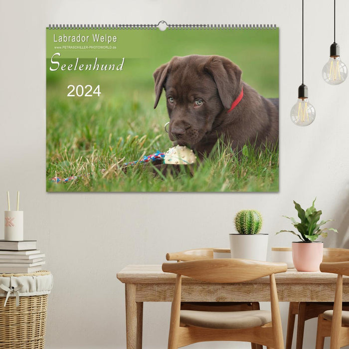 Labrador Welpe – Seelenhund (CALVENDO Wandkalender 2024)