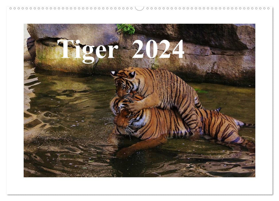 Tiger 2024 (CALVENDO Wandkalender 2024)