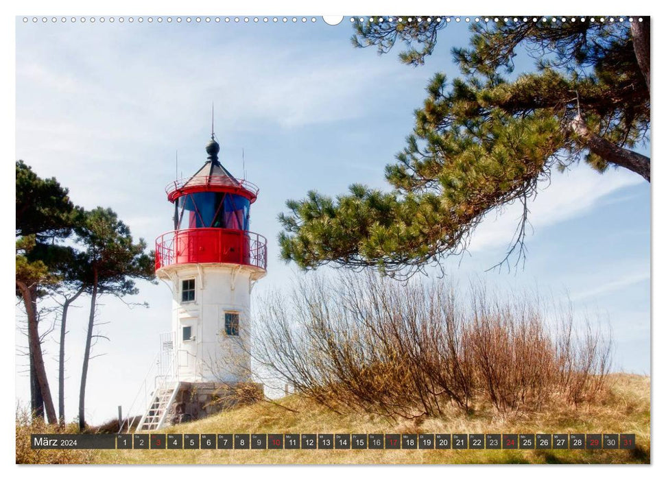 Île Hiddensee (calendrier mural CALVENDO 2024) 