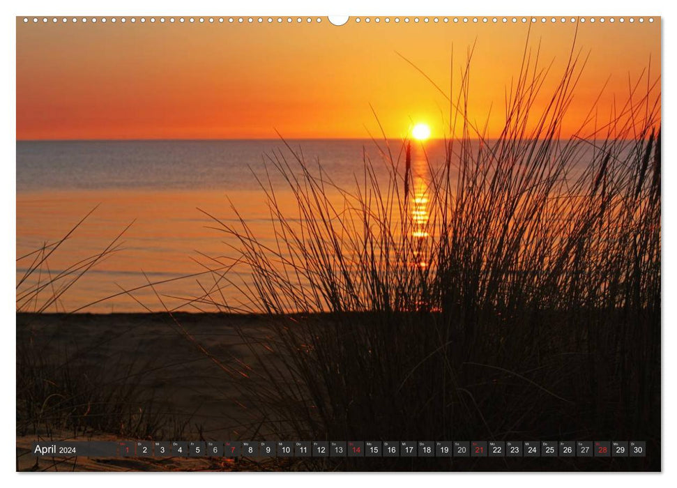 Île Hiddensee (calendrier mural CALVENDO 2024) 