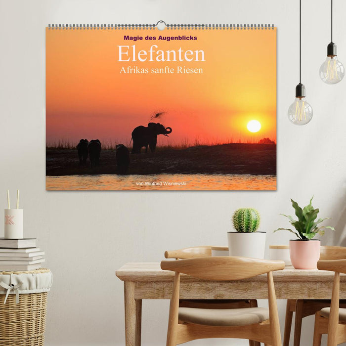 Magie du moment - Éléphants - Gentils géants d'Afrique (Calendrier mural CALVENDO 2024) 