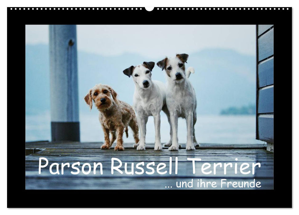Parson Russell Terrier (Calendrier mural CALVENDO 2024) 