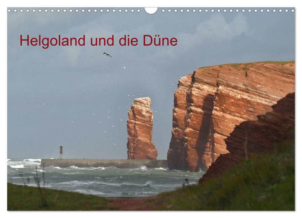 Helgoland und die Düne (CALVENDO Wandkalender 2024)
