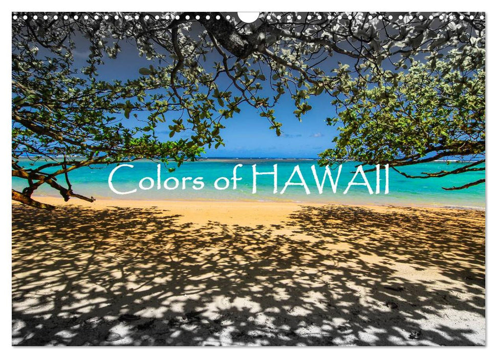 Colors of HAWAII (CALVENDO Wandkalender 2024)
