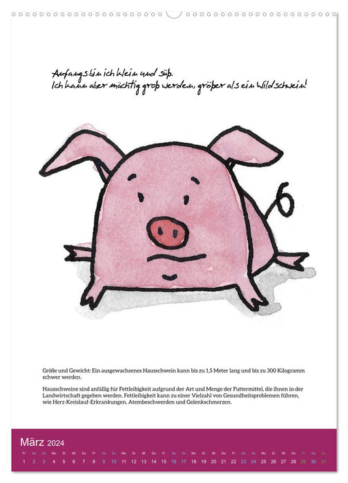 Schweinekalender - Alles was du über Schweine wissen wolltest! (CALVENDO Wandkalender 2024)