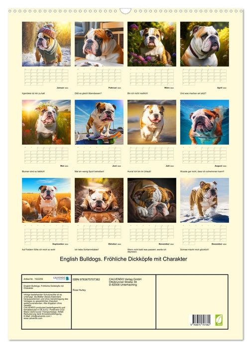 English Bulldogs. Fröhliche Dickköpfe mit Charakter (CALVENDO Wandkalender 2024)