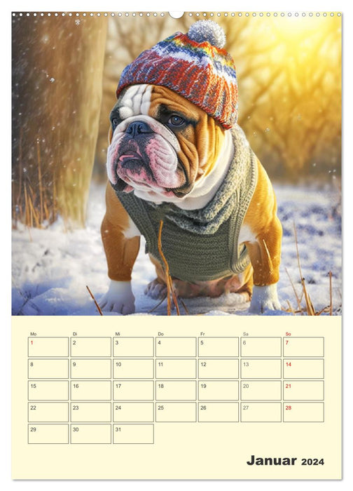 English Bulldogs. Fröhliche Dickköpfe mit Charakter (CALVENDO Wandkalender 2024)