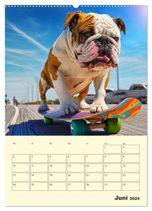 English Bulldogs. Fröhliche Dickköpfe mit Charakter (CALVENDO Wandkalender 2024)